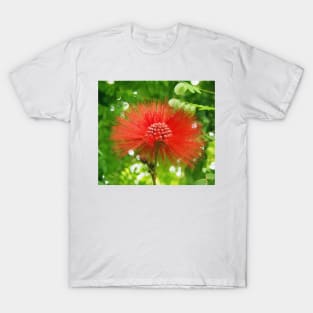 Red Puffy Firework Flower T-Shirt